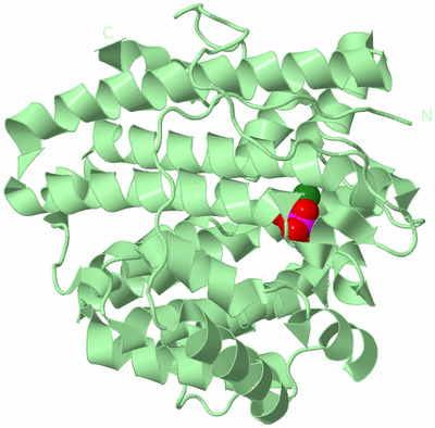 Image Biological Unit 2