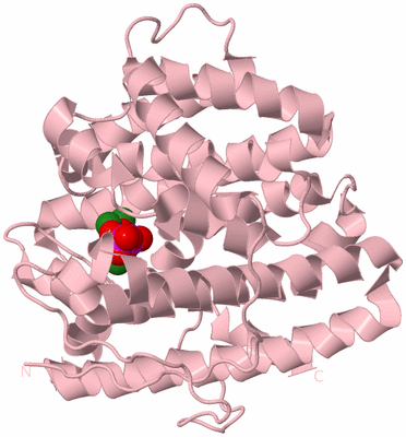 Image Biological Unit 3