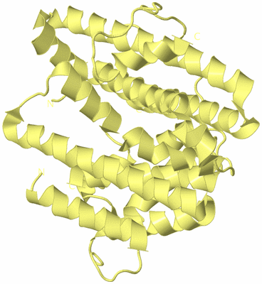 Image Biological Unit 4