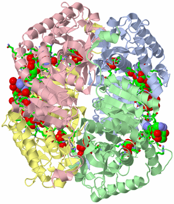 Image Biol. Unit 1 - sites