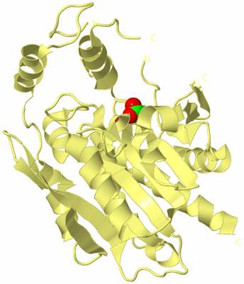 Image Biological Unit 4