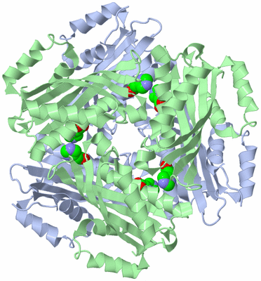 Image Biological Unit 1