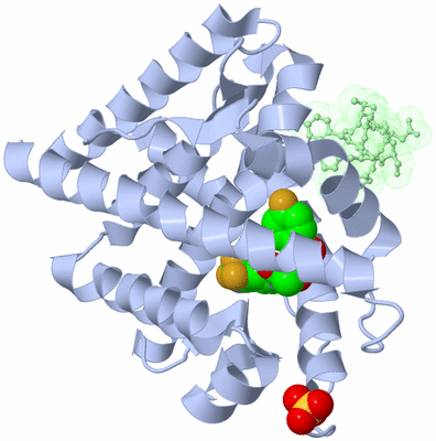 Image Asym./Biol. Unit