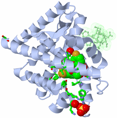 Image Asym./Biol. Unit - sites