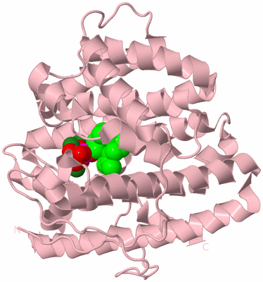 Image Biological Unit 3