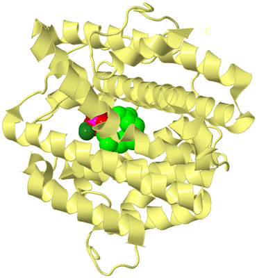 Image Biological Unit 4