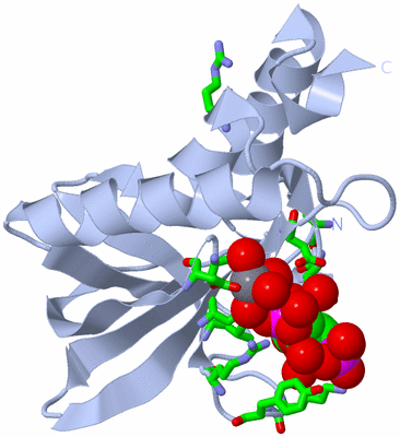 Image Biol. Unit 1 - sites