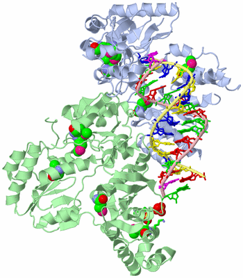 Image Biol. Unit 1 - sites