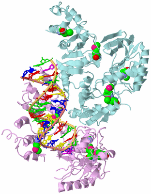 Image Biological Unit 2