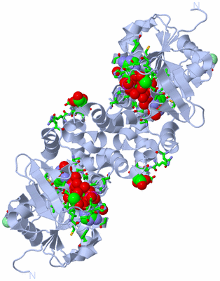 Image Biol. Unit 1 - sites