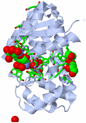 Image Biol. Unit 1 - sites