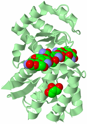 Image Biological Unit 2