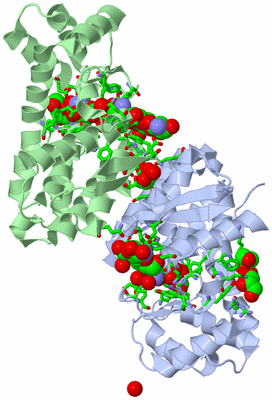 Image Asym. Unit - sites