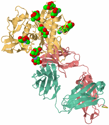 Image Asym./Biol. Unit