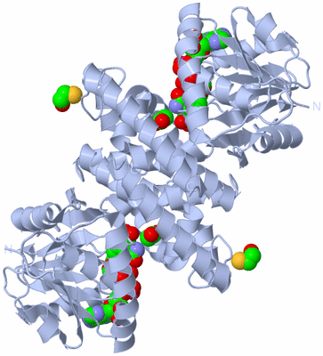 Image Biological Unit 1