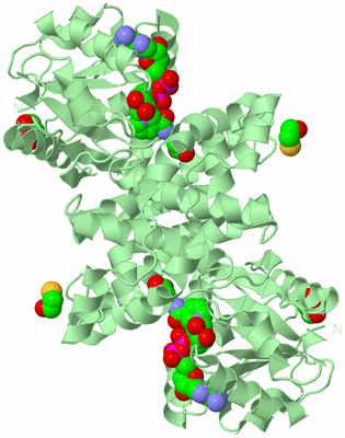 Image Biological Unit 2