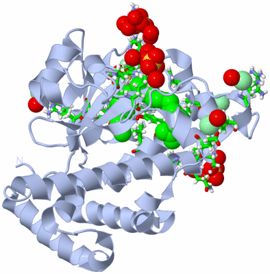 Image Biol. Unit 1 - sites