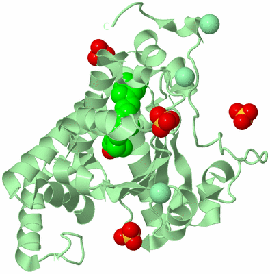 Image Biological Unit 2