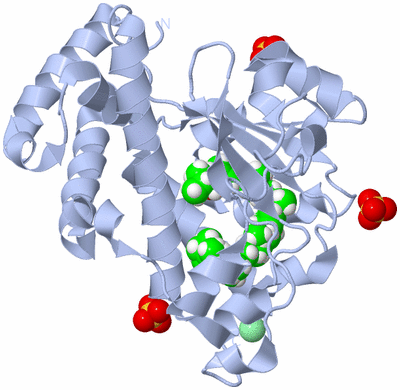 Image Biological Unit 1