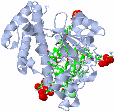 Image Biol. Unit 1 - sites