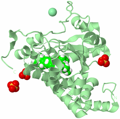 Image Biological Unit 2