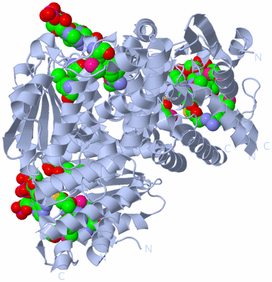 Image Biological Unit 1