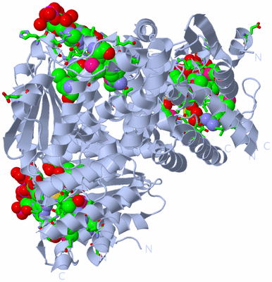 Image Biol. Unit 1 - sites