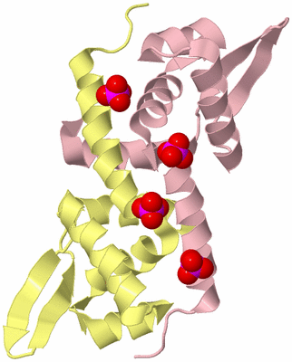 Image Biological Unit 2