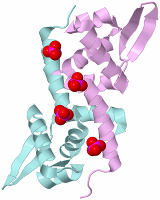 Image Biological Unit 3