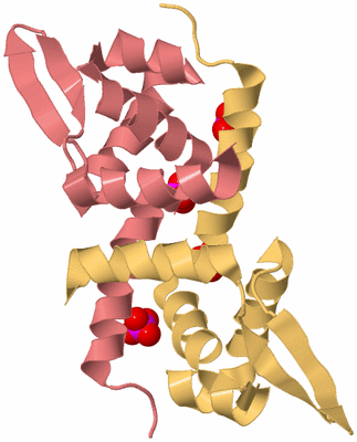 Image Biological Unit 4