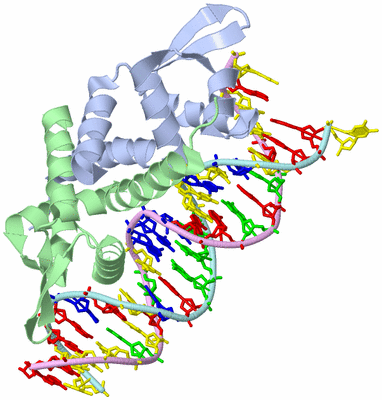 Image Biological Unit 1