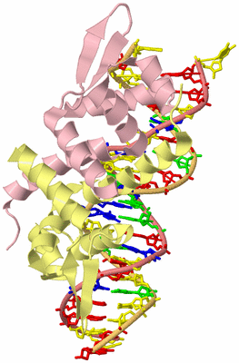 Image Biological Unit 2