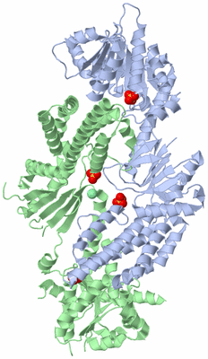 Image Biological Unit 3