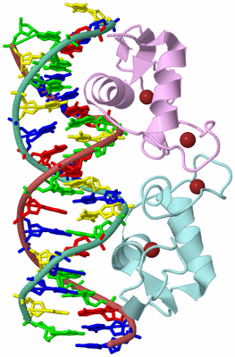 Image Biological Unit 2