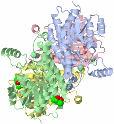 Image Asym./Biol. Unit