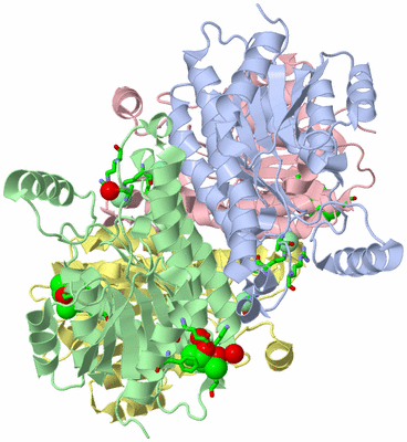 Image Asym./Biol. Unit - sites