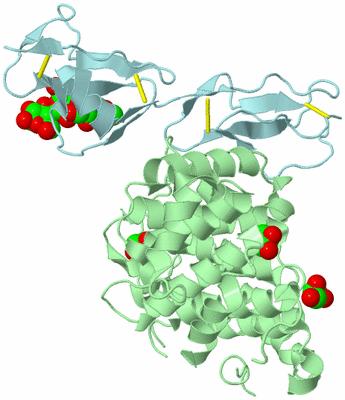 Image Biological Unit 1