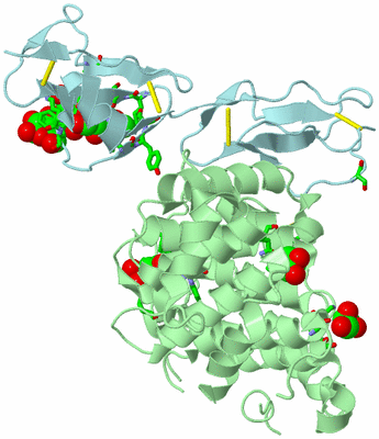 Image Biol. Unit 1 - sites