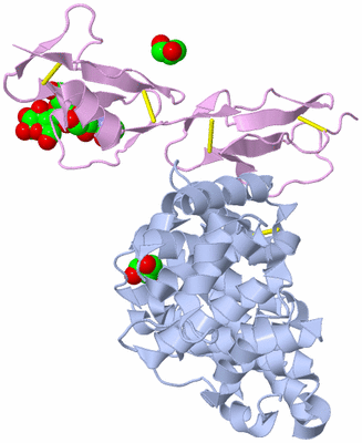 Image Biological Unit 2