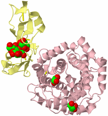 Image Biological Unit 3