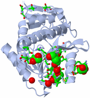 Image Biol. Unit 1 - sites