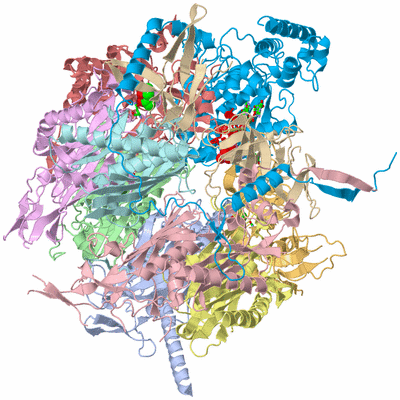 Image Asym./Biol. Unit - sites