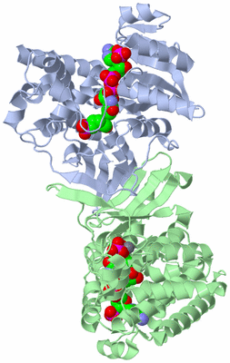 Image Biological Unit 1