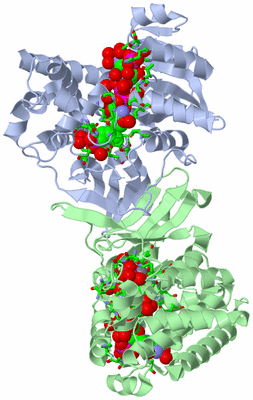 Image Biol. Unit 1 - sites