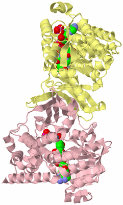 Image Biological Unit 2