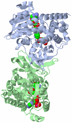 Image Asym./Biol. Unit