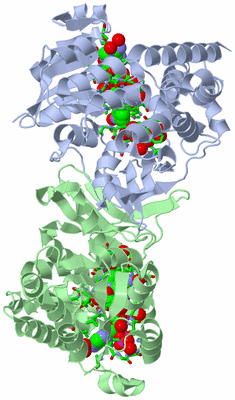 Image Asym./Biol. Unit - sites