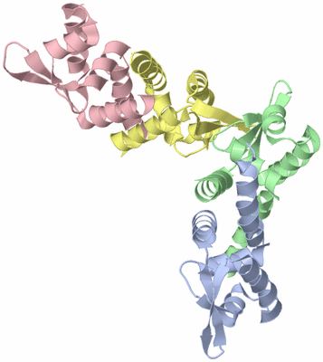 Image Asymmetric Unit