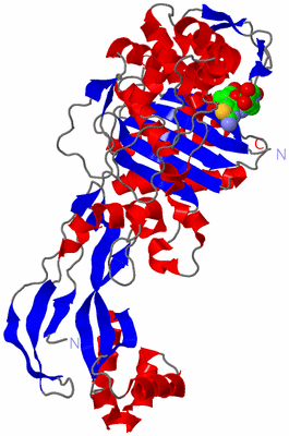 Image Asym./Biol. Unit