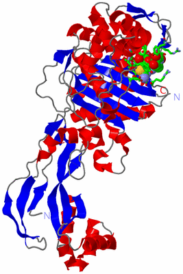 Image Asym./Biol. Unit - sites